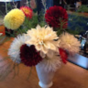 Meet your Posher, Fay david